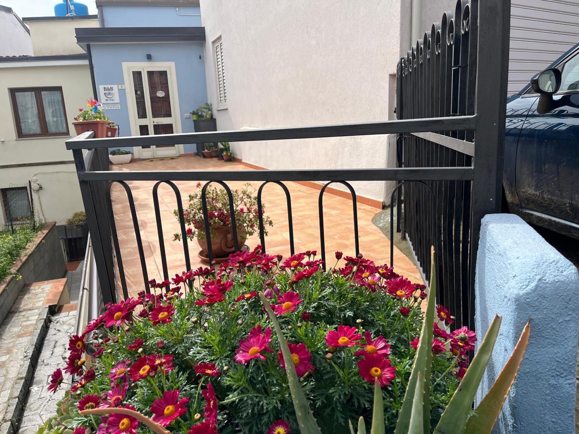 B&B Niu Susu Ланузеи Экстерьер фото